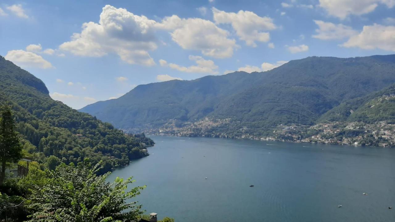 Top Lake View Faggeto Lario Bagian luar foto